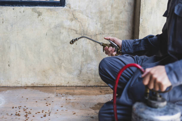 Best Wasp Removal Services  in Red Bank, SC